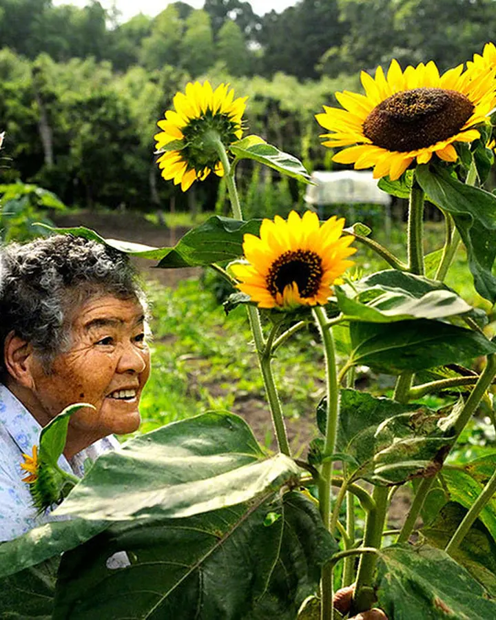 Femme aux cheveux gris foncé, souriante, avec un chat blanc sur l'épaule, devant des tournesols